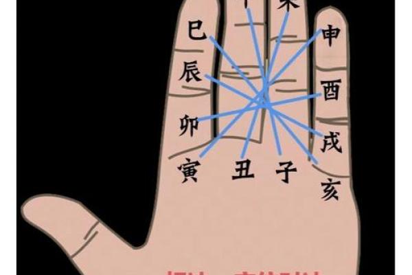 未现之奇：地支未方位隐藏的惊天秘密