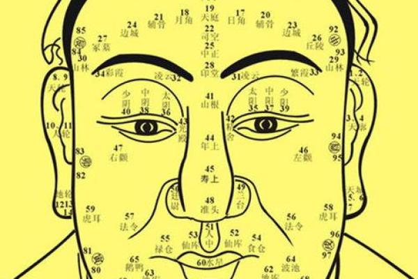 面相揭秘：唔面相鱼眼透视人生奥秘