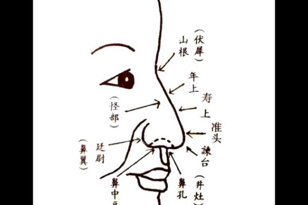面相揭秘：唔面相鱼眼透视人生奥秘