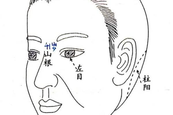左眼皮受伤面相：预示着何种人生转折？