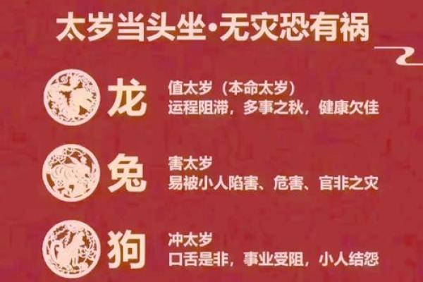 驴面相揭秘：面相中的奇特象征与命运启示