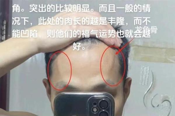 驴面相揭秘：面相中的奇特象征与命运启示