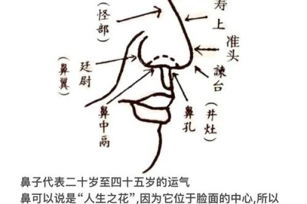 面相富贵，财运亨通：揭秘成功人士的神秘面相秘诀