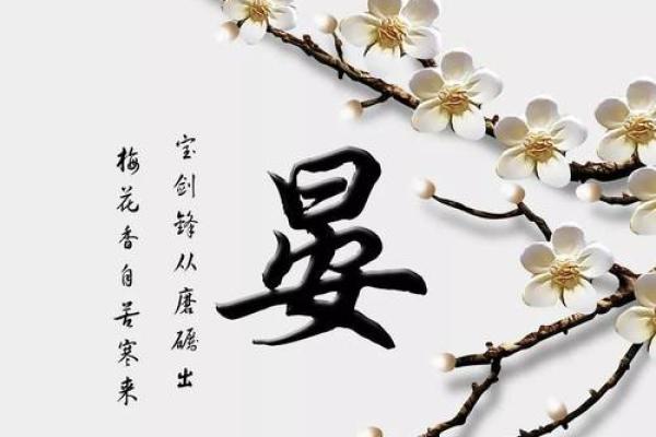 晏性女宝宝，寓意美好名字精选