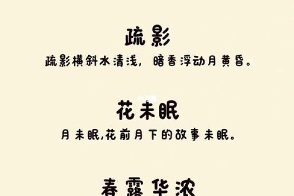 创意十足的公司生鲜店名字推荐指南