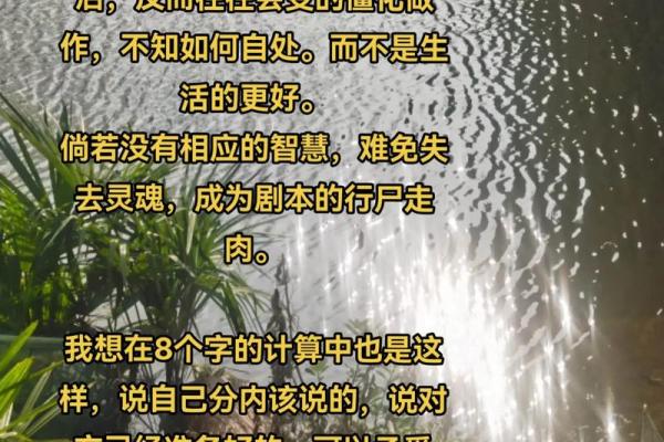 八字命盘里的秘密：读懂你的命运，改变你的未来！