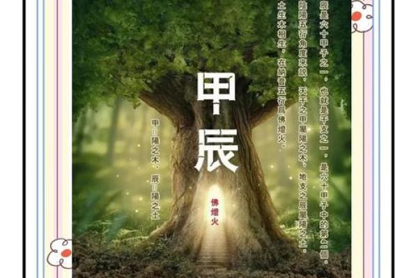 青龙崛起，地支运势：2024年运势解析，抓住好运
