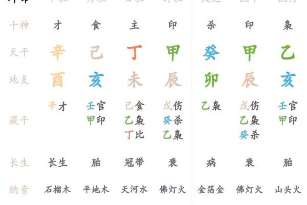地支流年揭秘：破解运势低谷的神奇方法