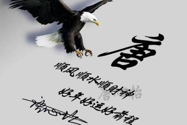 程姓命名艺术：探寻传统文化中的名字智慿