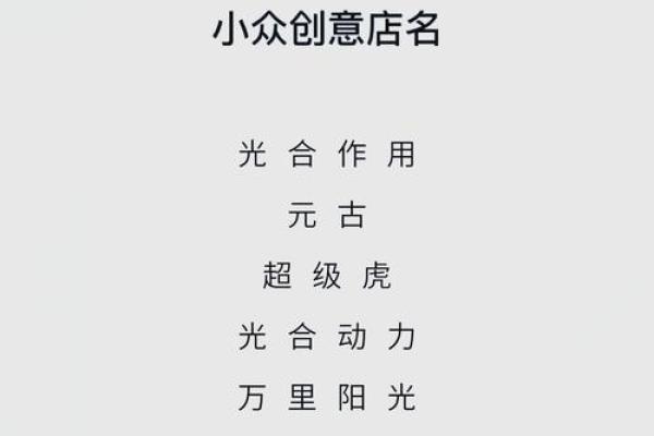 定制店名字创意指南：打造独特品牌形象