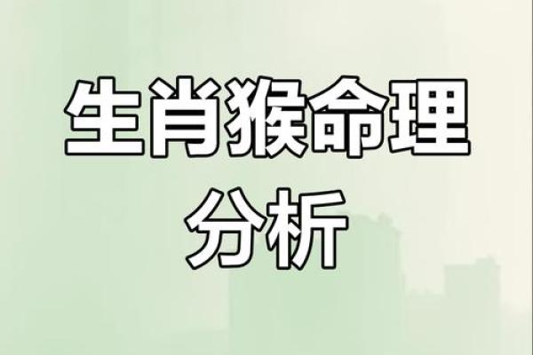 生肖猴了解五生肖行猴与性的五格的行关系归