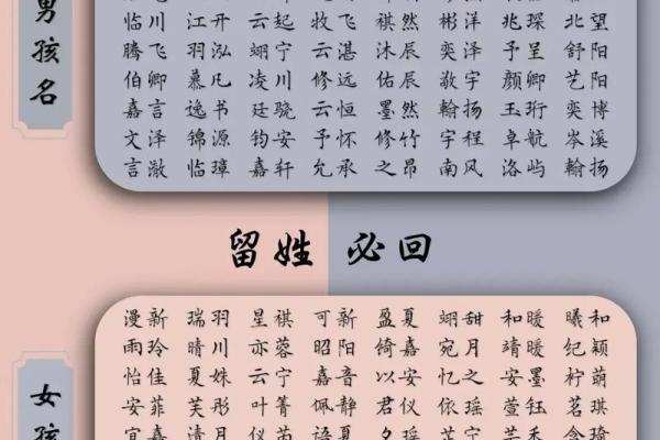 给男宝宝起名：彰显家族底蕴，寓意美好未来