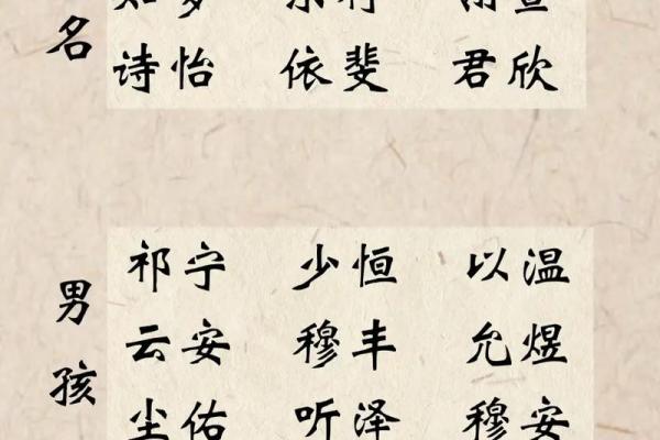给男宝宝起名：彰显家族底蕴，寓意美好未来