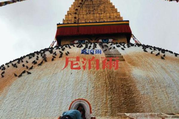 神秘地支半汇，揭开命运之谜的神秘钥匙
