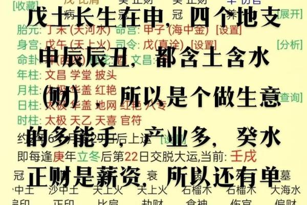 独家揭秘地支财号码助你财运滚滚