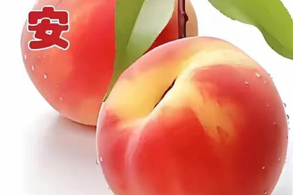 宝宝健康面相：福星高照，笑口常开！