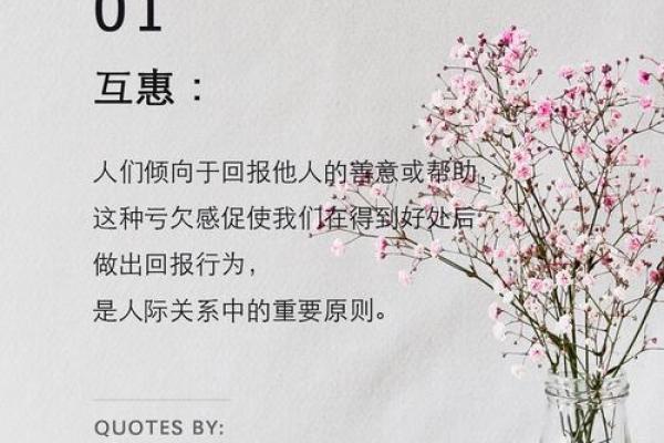 名字的力量——探寻罗伯特名字的独特寓愿