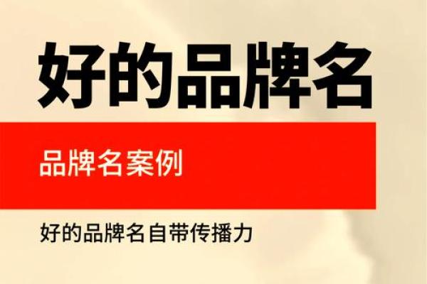 起名网站公司在企业品牌建设中的重要作用