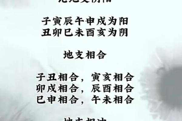 阴阳相生，地支指引健康生活