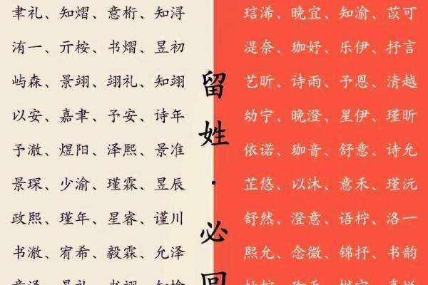 起名艺术：创意姓名搭配技巧大揭秘