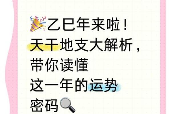 元气地支，开启你的运势之门