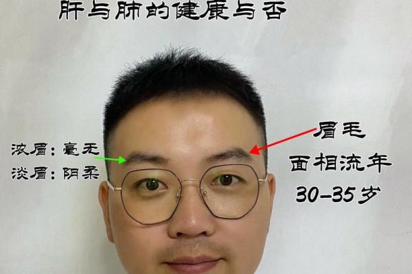 男人面相眉毛360度解析：揭秘眉毛形状与命运的秘密