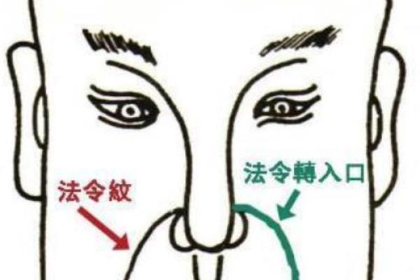 眉骨高飞，运势亨通，面相中的富贵相！