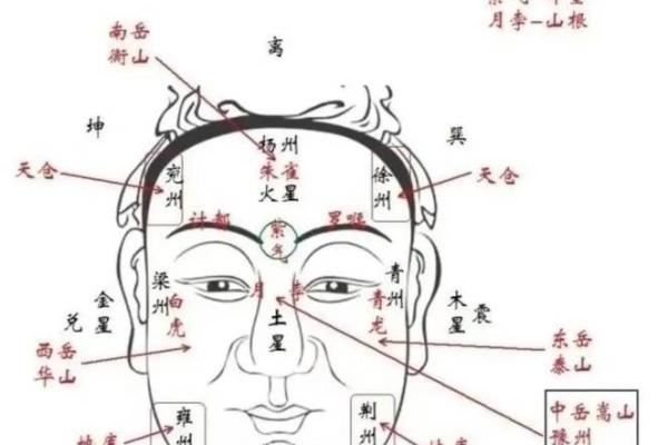 眉骨高飞，运势亨通，面相中的富贵相！
