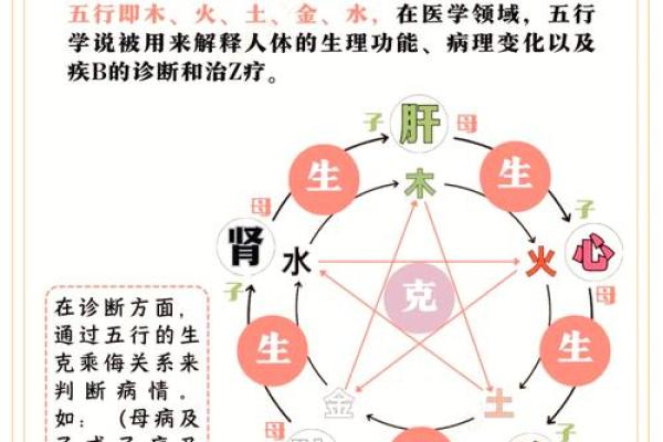 地支奇缘：辰时奥秘，揭开五行生克的神秘面纱