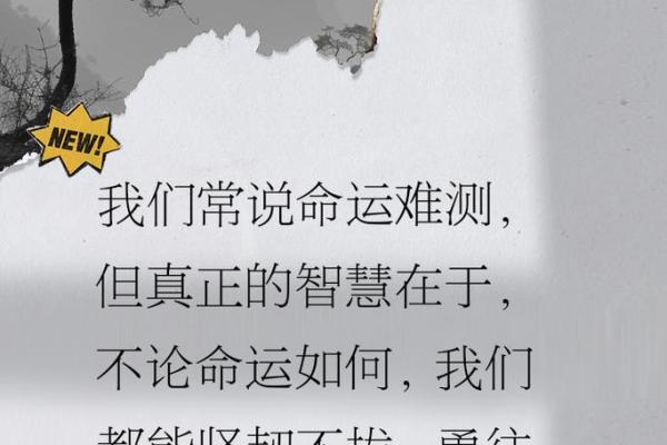 真水无香：探寻蕴含哲理的宝宝名字真谛