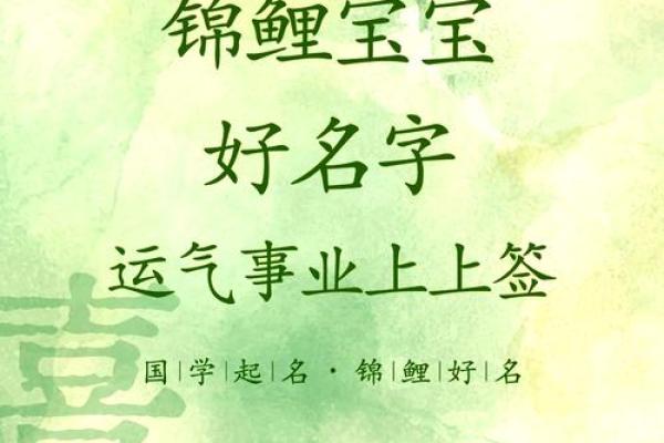 鸡年宝宝起名攻略：掌握这些禁忌，助你为宝宝挑选美好名字