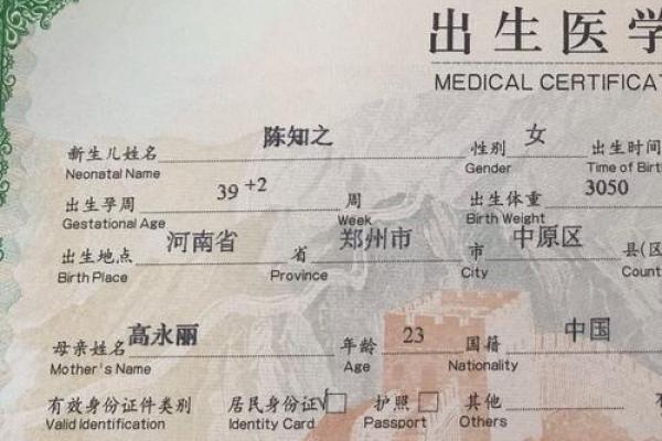 陈氏宝宝名字创意集