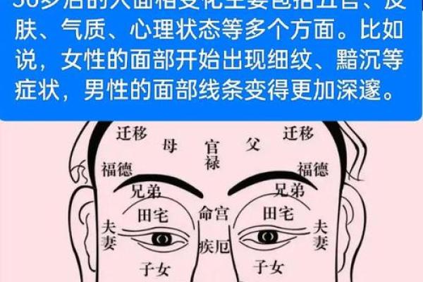 鼻头硬软面相探秘：揭示财运与性格的秘密