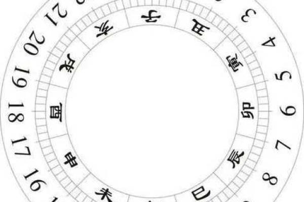 地支之辰：探寻生肖中的独特性格魅力