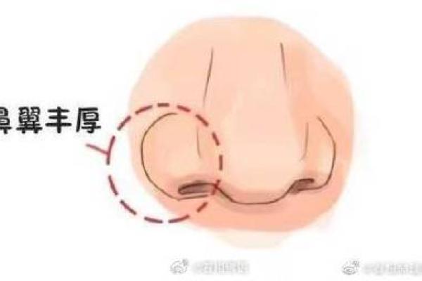 面相揭秘：鼻子高挺，财运亨通，事业有成！