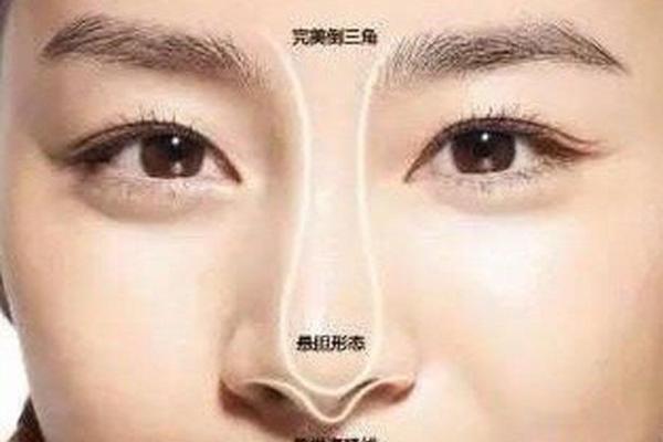 大鼻孔鼻面相揭秘：财运亨通的秘密面相密码