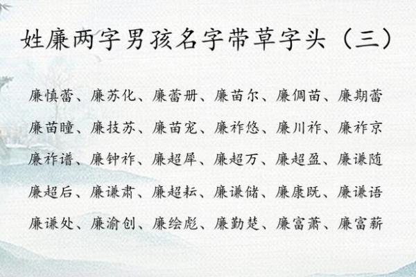 名字中的奥秘：有尔字的独特寓意解枿