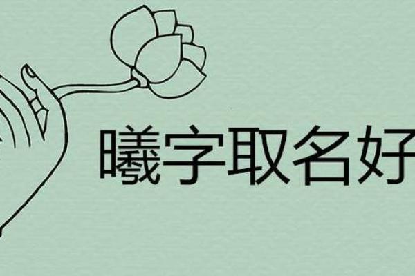 曦字五行的象征意义与应用