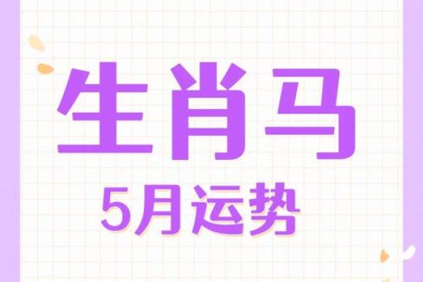 马年必看：属马人的运势大解析，抓住成功机遇！