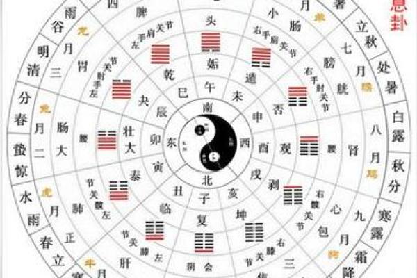 一算便知命，免费易经八字揭秘人生