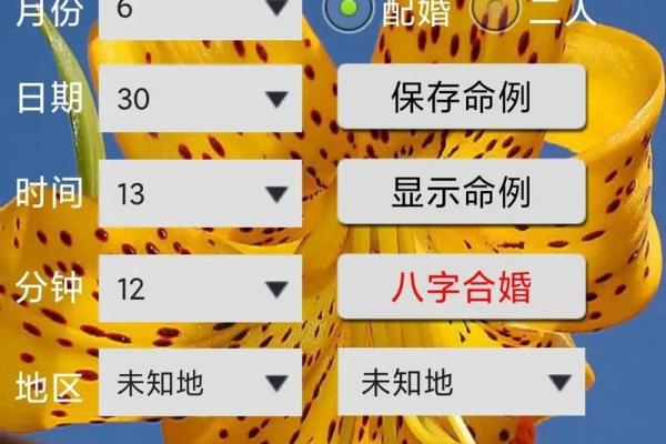 免费生辰八字合婚，了解你们的缘分