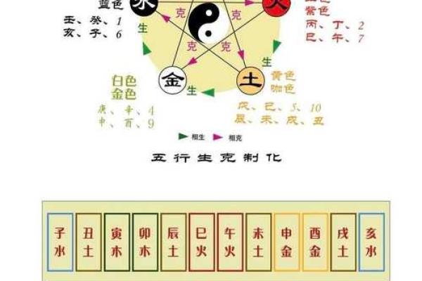 亥时来临，揭秘地支背后的秘密