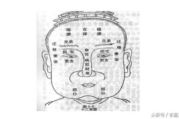 面相探秘：天庭有印，富贵显赫之相