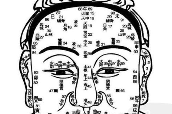 面相揭秘：眼神锐利如虎，洞察力非凡的神秘面相