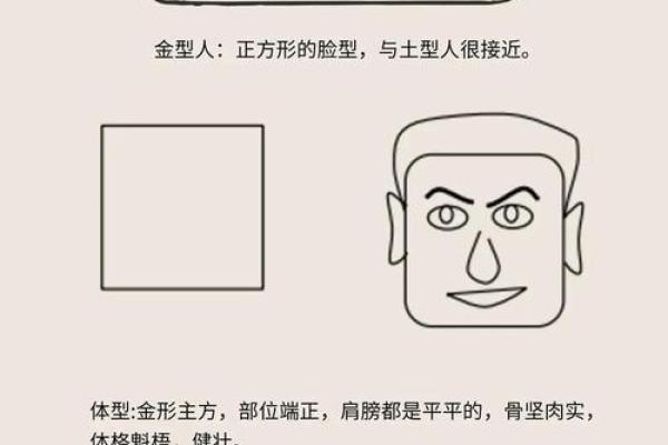 面相揭秘：眼神锐利如虎，洞察力非凡的神秘面相