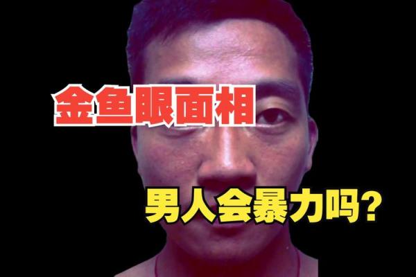 龙眼明眸，揭秘男生面相中的龙眼奥秘
