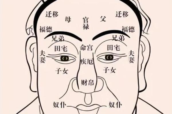 面相揭秘：睡眼与醉眼中的性格秘密
