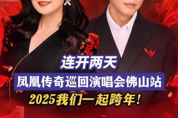 翱翔天际，地支三凤传奇再现