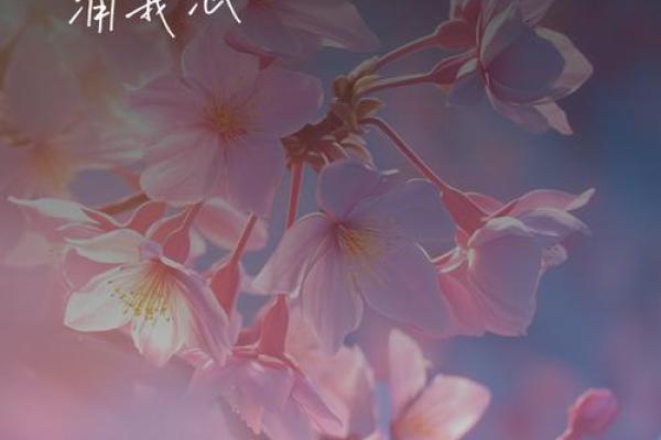 寒意袭人名字佳：从寒字出发，寻找独特的个性命吿
