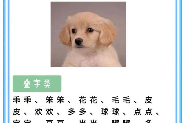 狗年萌宝，寓意吉祥好名推荐